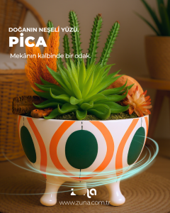 Pica